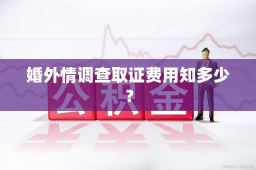 上犹婚外情调查取证费用知多少？