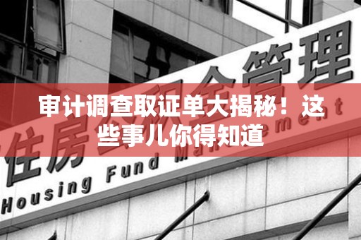 上犹审计调查取证单大揭秘！这些事儿你得知道