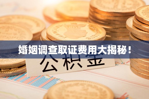 上犹婚姻调查取证费用大揭秘！