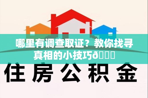 上犹哪里有调查取证？教你找寻真相的小技巧😎