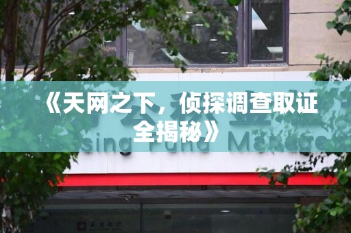 上犹《天网之下，侦探调查取证全揭秘》