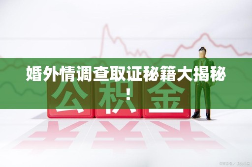 上犹婚外情调查取证秘籍大揭秘！