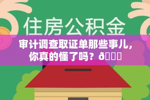 上犹审计调查取证单那些事儿，你真的懂了吗？😎